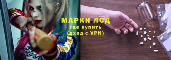 СК Ельня