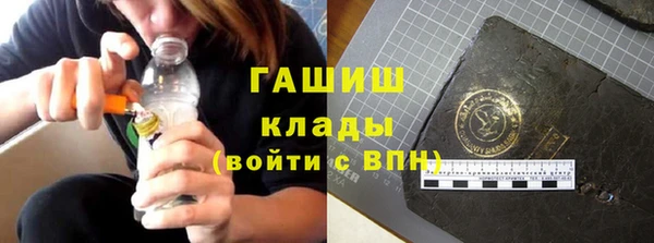 СК Ельня