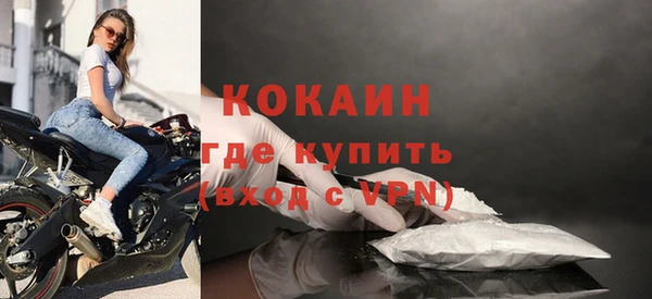 СК Ельня