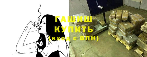 СК Ельня