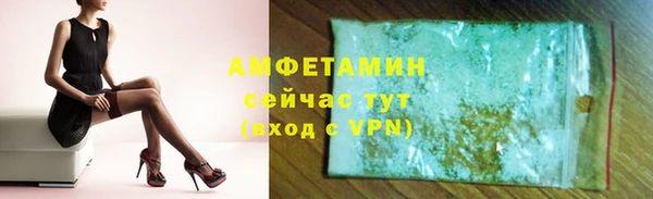 СК Ельня