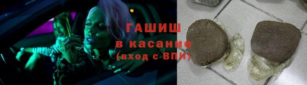СК Ельня