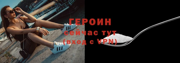 СК Ельня