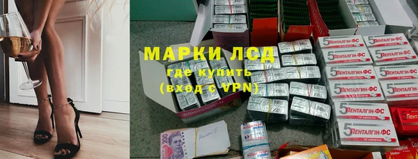 СК Ельня