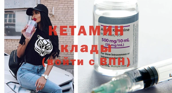 СК Ельня