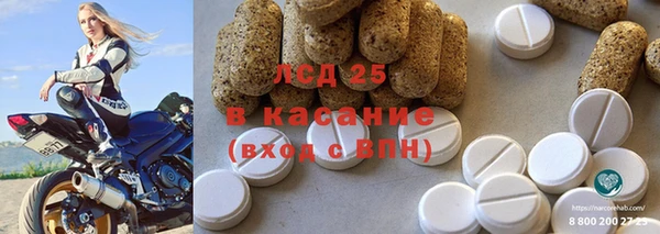 СК Ельня
