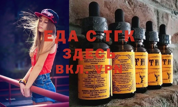 СК Ельня