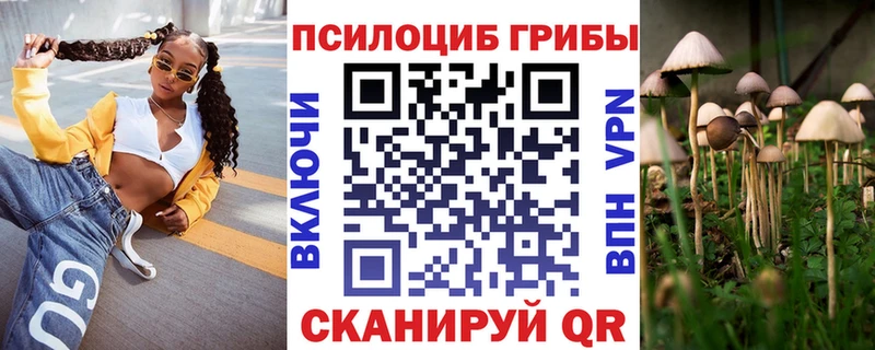 Галлюциногенные грибы ЛСД  хочу наркоту  Змеиногорск 